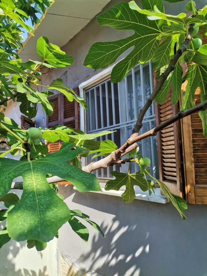 Country House Созополь Экстерьер фото